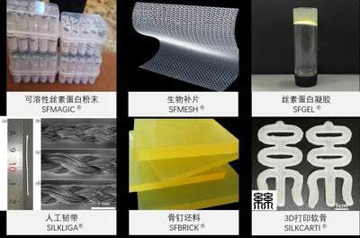 以蚕丝为原料、研发丝素蛋白新材料,“复向医疗”聚焦生物医学组织工程修复
